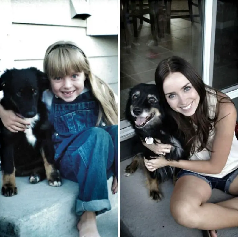 21 Before And After Photos Of Our Furry Friends