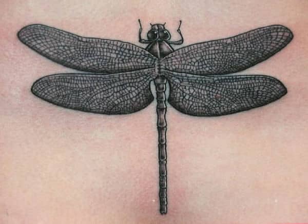 dragonfly-tattoo15