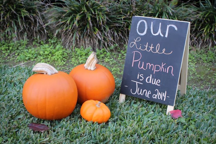 36 Most Creative Ways to Announce Pregnancy