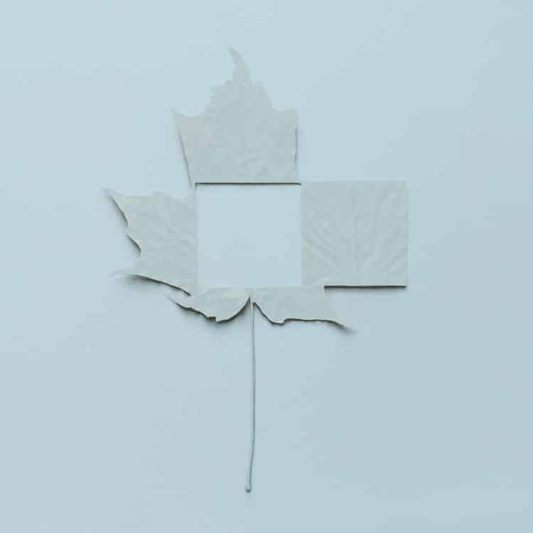 minimalist-leaf-art09