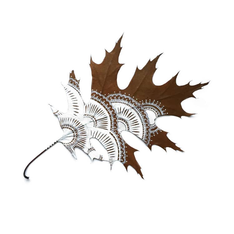 minimalist-leaf-art45