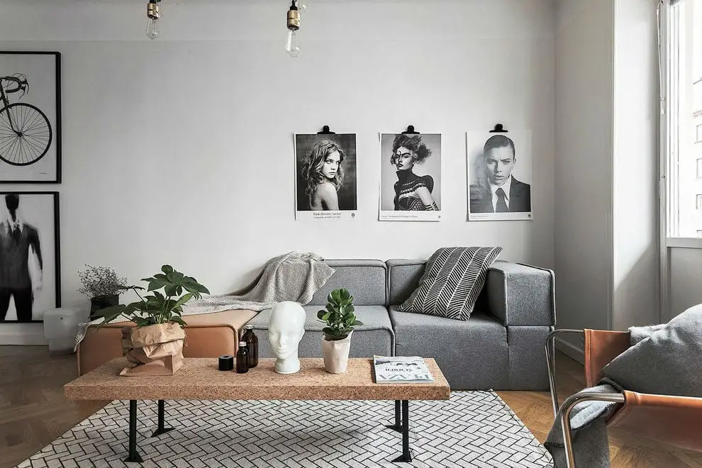 23 Beautiful Scandinavian Living Room  Designs