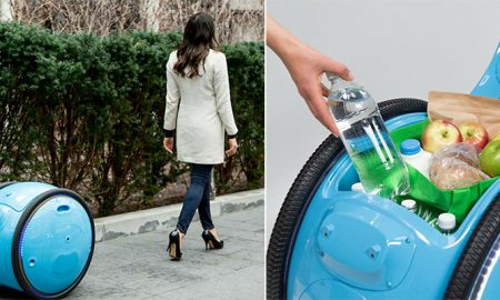 Meet Gita, a Robot Designed to Follow You Around and Carry Your Personal Belongings