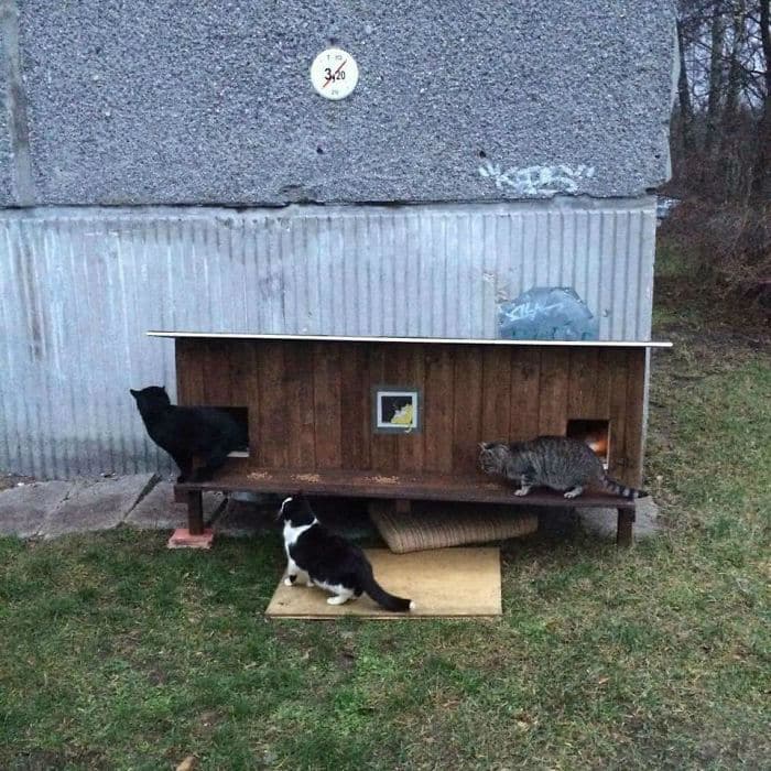 Tiny Houses For Homeless Cats In Riga To Survive Winter
