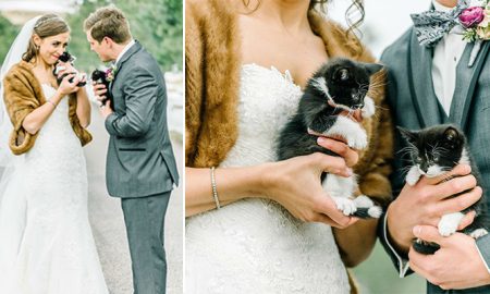 Two Veterinarians and Cat Lovers Had A Purrfect Wedding Ceremony