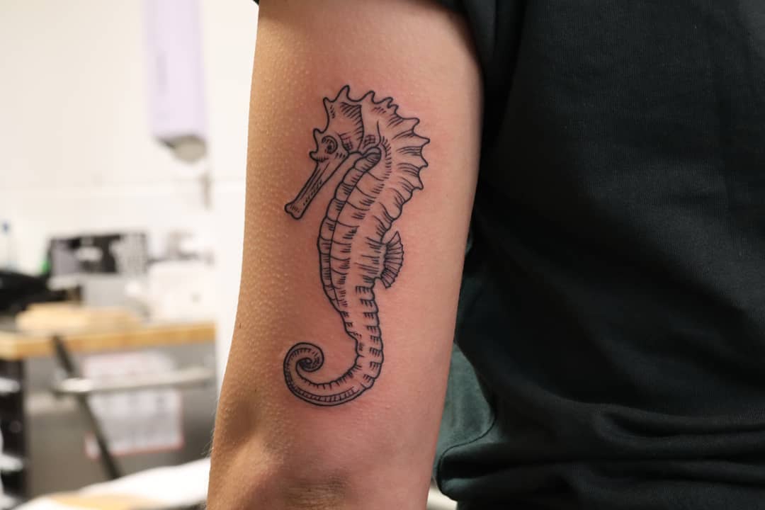 Featured image of post Seahorse Tattoo Meaning Although it may seem this animal is weak the ancient greeks saw it as a symbol of