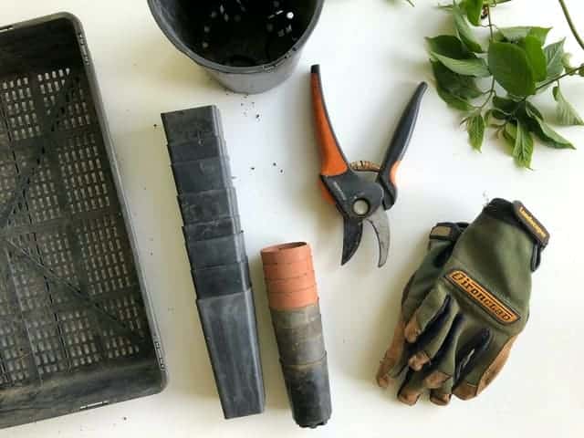 How to Organize Your Garden Tools