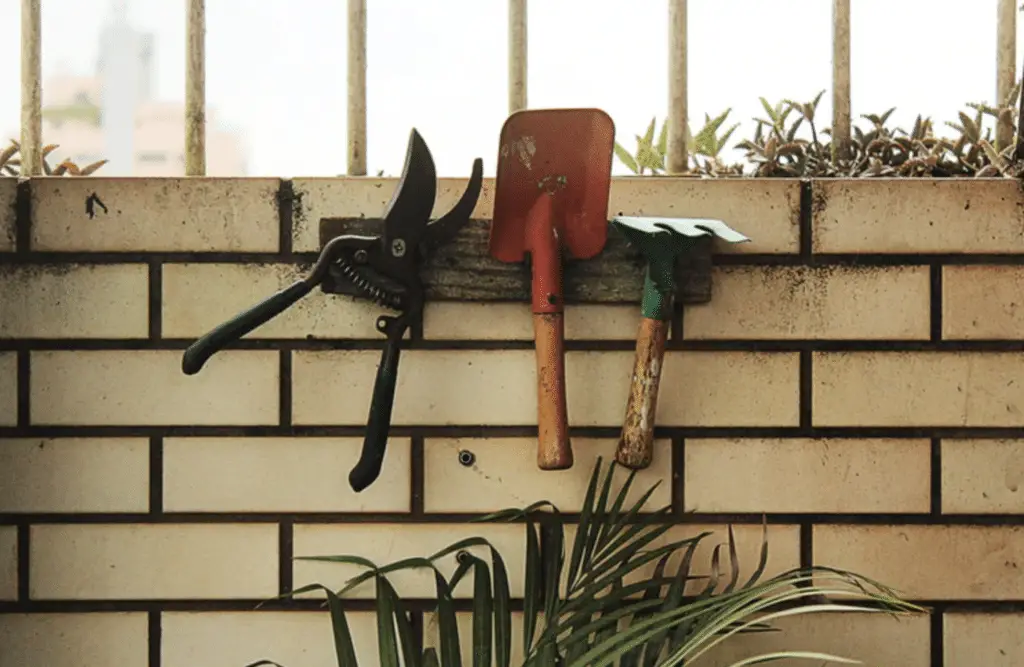 How to Organize Your Garden Tools