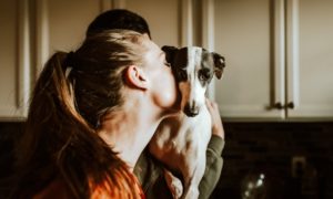 New Dog Parent Guide: 7 Great Tips For Dog Health And Safety