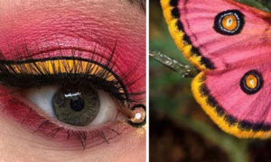 Side-by-Side Comparison of Colorful Eye Makeup Designs and Bugs that Inspired Them