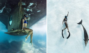 Pure and Aquatic Art Photography By Michael DK